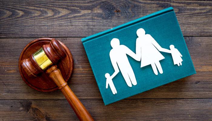 Guide to Michigan Probate Litigation